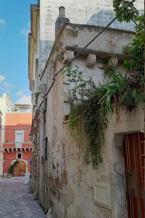 Courtyard Houses - San Mauro street