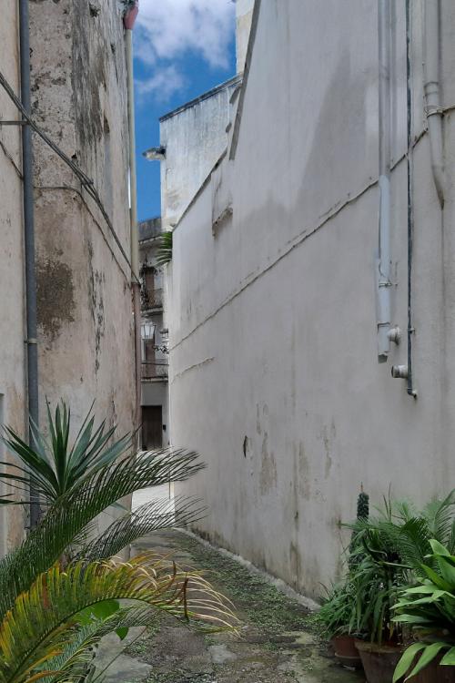 S.Antonio Court - Lillo Street