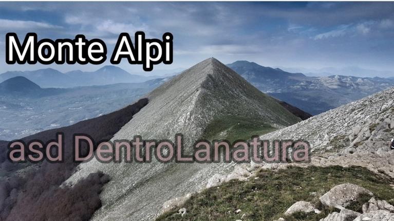 Monte Alpi