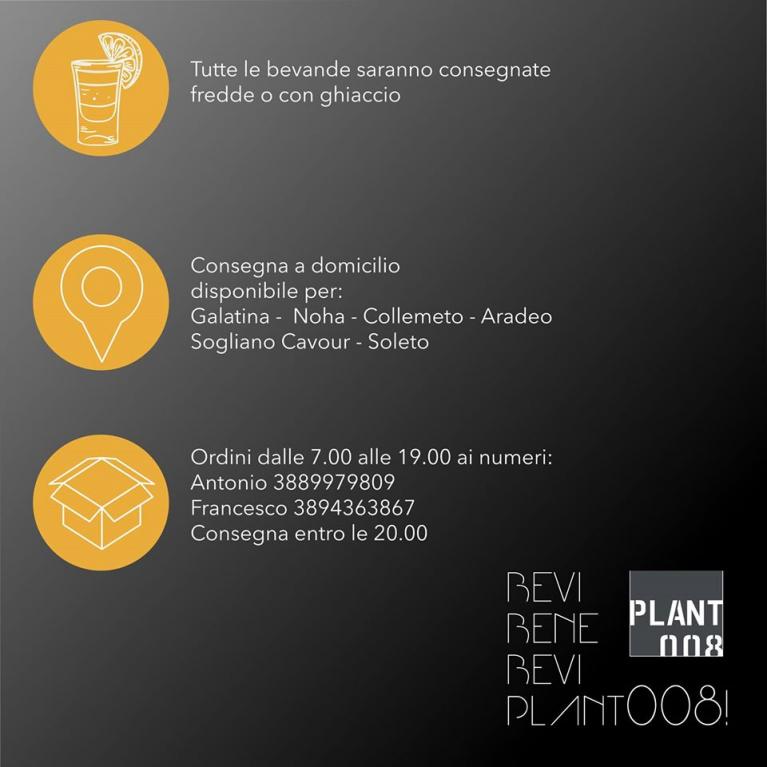 Plant 008