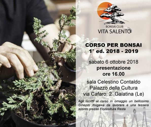 COURSE FOR BONSAI 