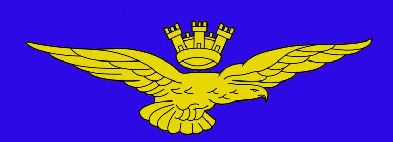 Consegna delle aquile. Aeronautica militare